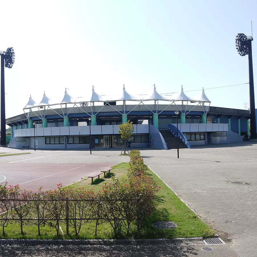bear stadium