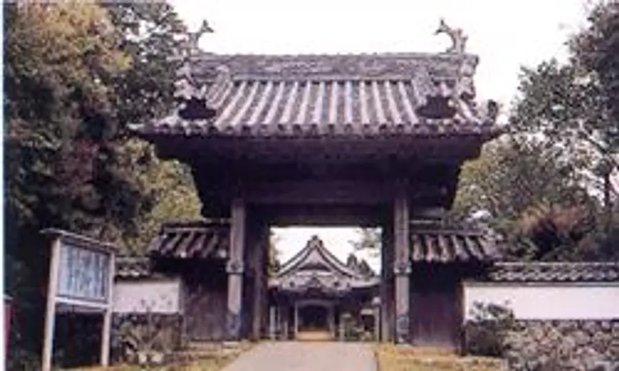 国分寺の花まつり【花】