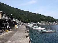 須賀利漁港②