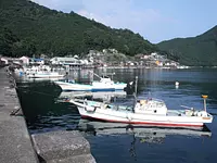 須賀利漁港③