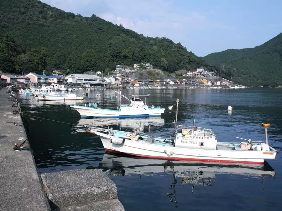 须贺利渔港 (3)