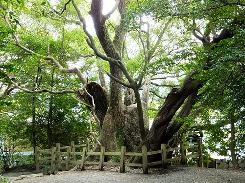 El gran árbol de alcanfor de Matsushitasha