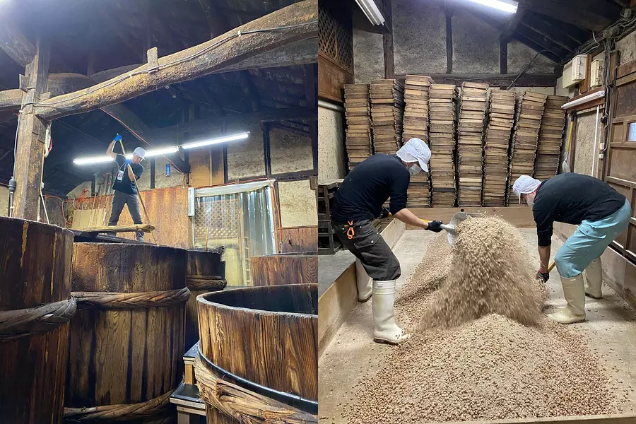 左：櫂入れ。右：豆麹仕込。