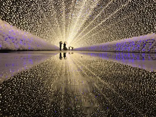 雨の日は地面に反射してさらに煌びやかに！