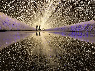 雨の日は地面に反射してさらに煌びやかに！