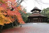 上野公園の紅葉2
