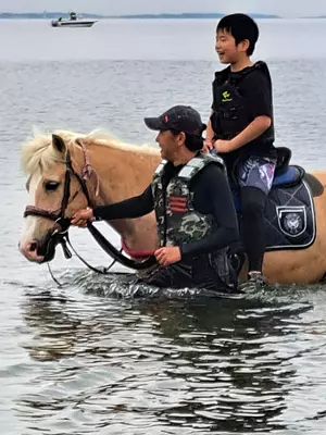 playing in the sea with horses