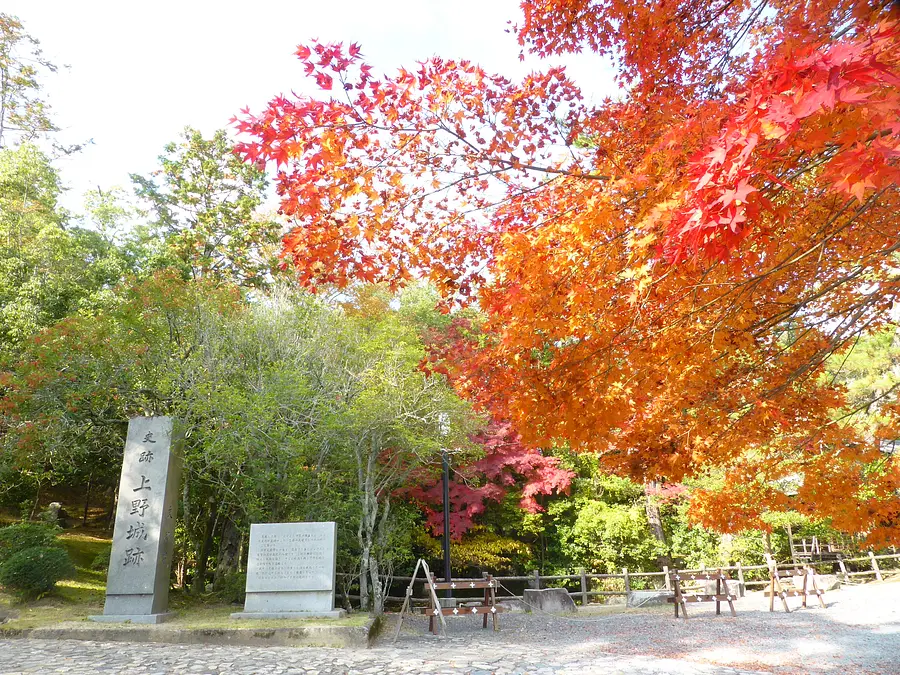 上野公園の紅葉3
