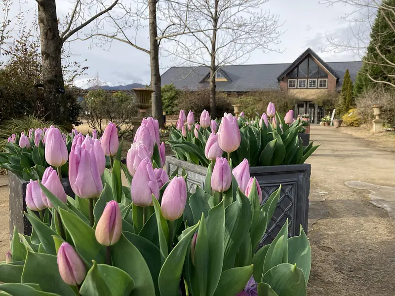 松阪農業公園ベルファーム