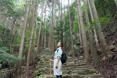 【前編】「南紀・熊野古道フリーきっぷ」で行く！熊野古道・伊勢路モデルコース｜特急「南紀」で三重・東紀州をめぐる旅