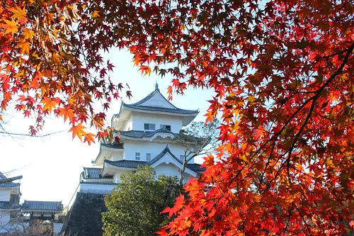 上野公園の紅葉1
