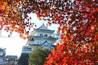 上野公園の紅葉1