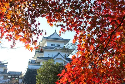 上野公園の紅葉3