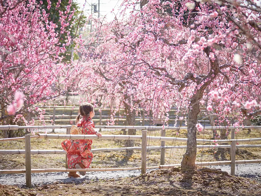 菅原神社