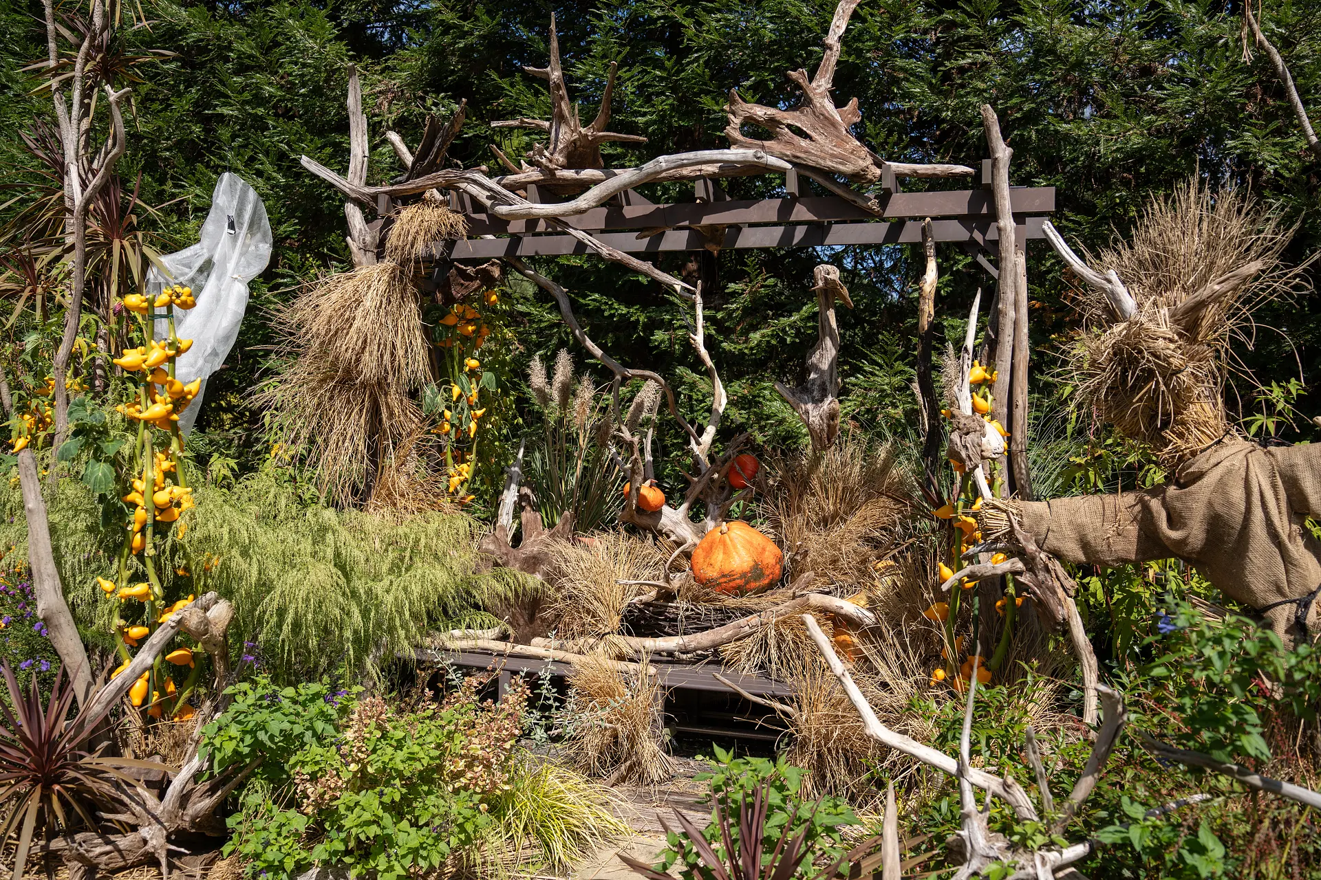 ハロウィンフォトスポット