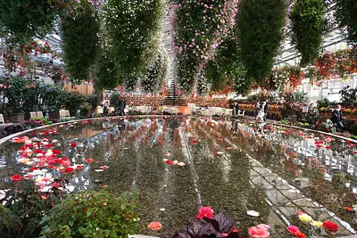 なばなの里ベゴニアガーデン（5）