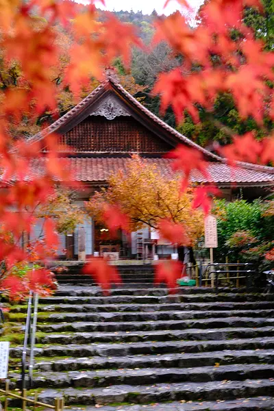 鳴谷山聖宝寺の紅葉（5）