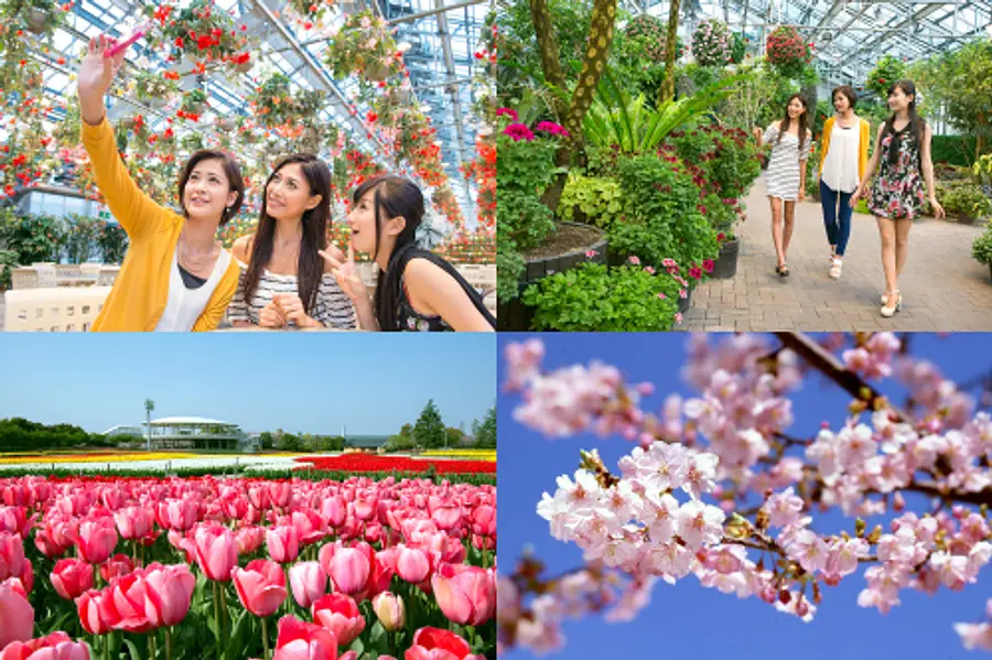 ナガシマリゾート 「デジタルフォトコンテスト」　　