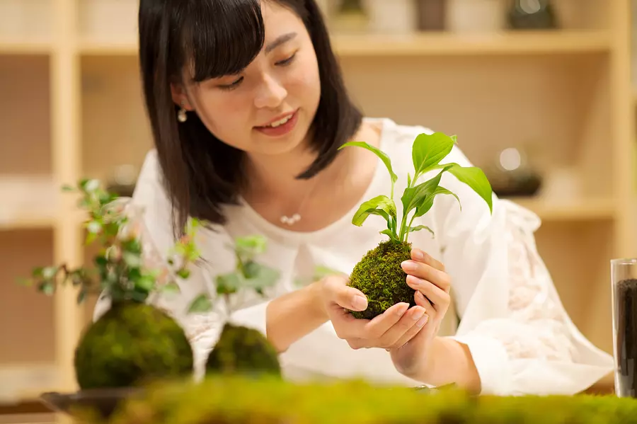 伊勢苔玉作り体験