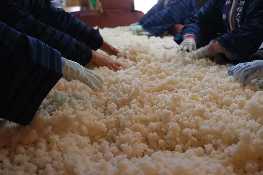 日本酒「神都の祈り」醸造祭〜日本酒仕込み体験〜