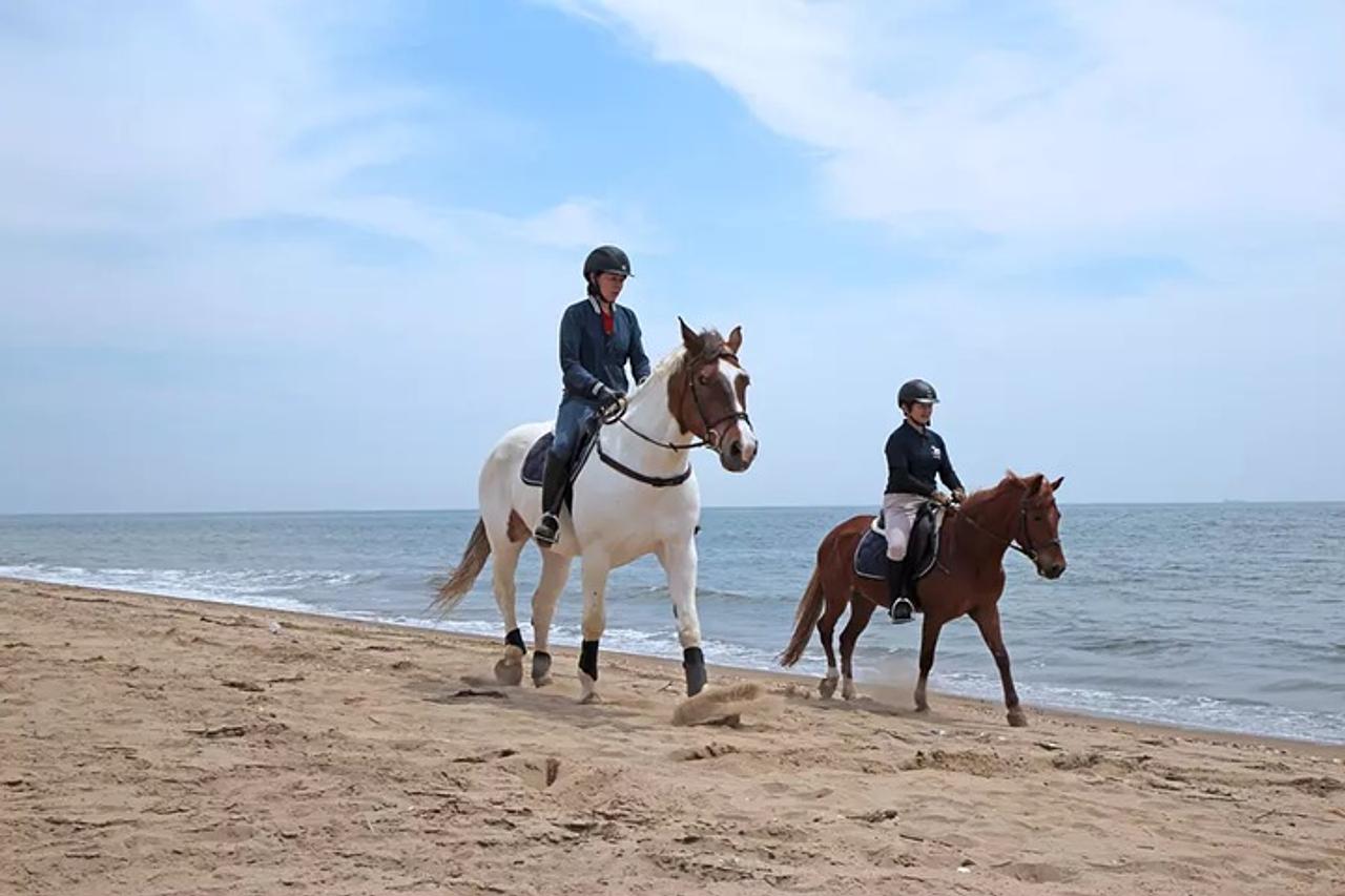 2026年は午年🐎三重県の「午」「馬」にまつわる観光スポットやイベントを要チェック👆紹介記事を公開しました。 | 観光三重(かんこうみえ ...