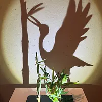 「光とモノが作る影アート－茶室に浮かぶ影ー」（影アート作家 佐藤江未さん）