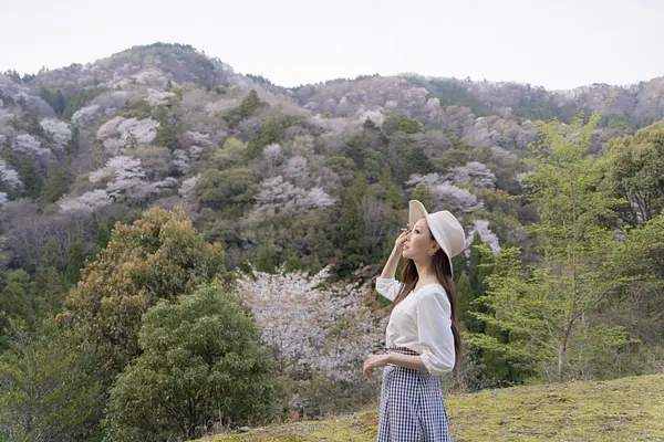 キャスターマミの画像