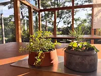 【植物の日】お家にちいさな薬草園をつくる会