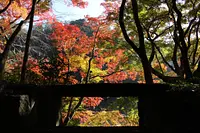 岩倉峡公園の紅葉2