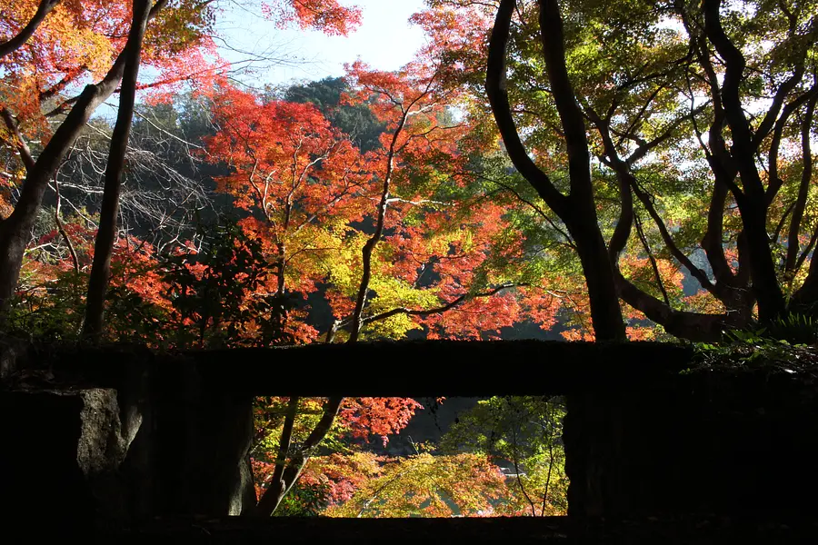 岩倉峡公園の紅葉2