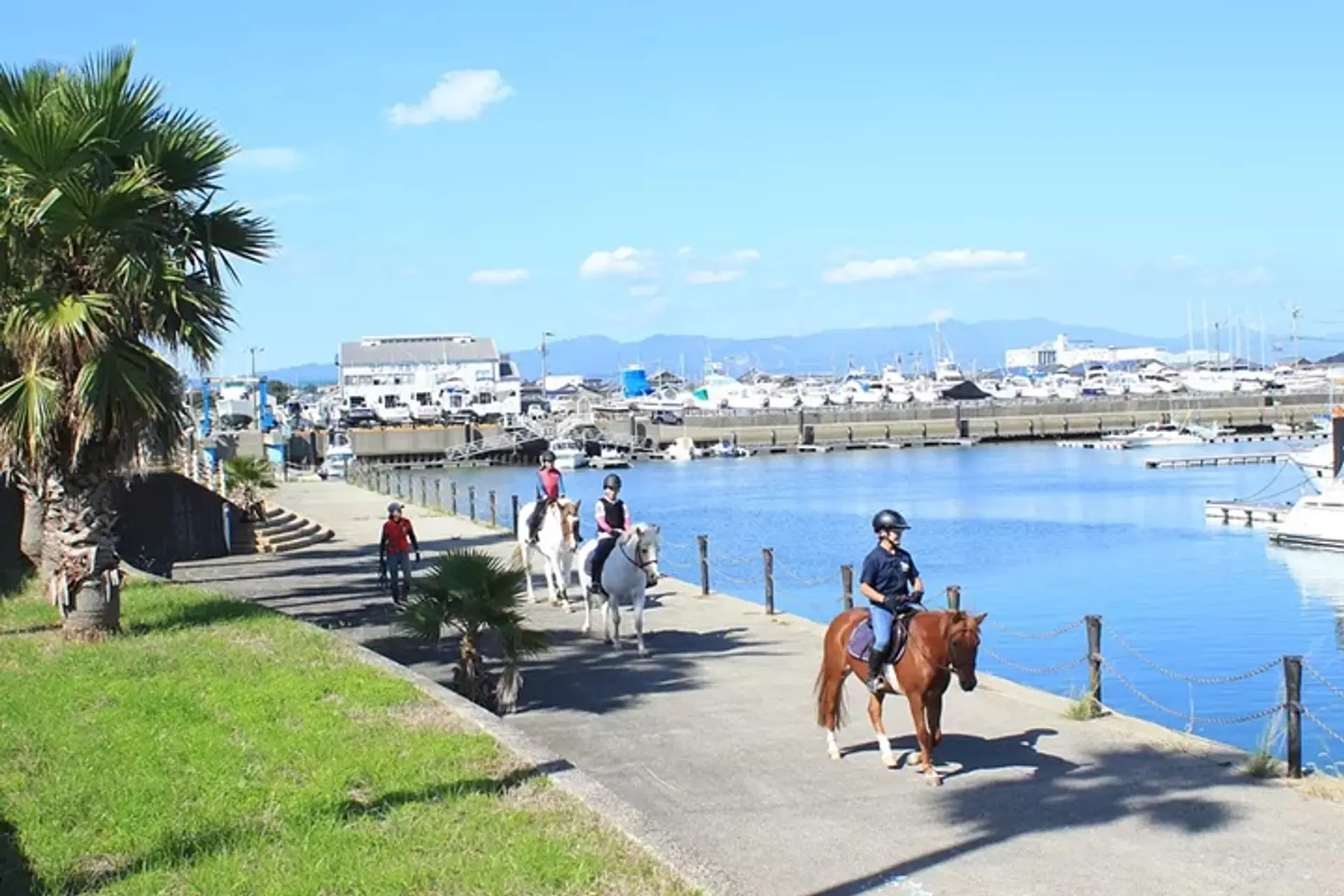 海の乗馬倶楽部　エルカバージョ (津市)