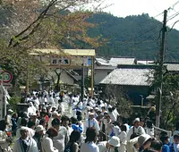 「第63回神宮式年遷宮瀧原宮御木曳行事」特別神領民募集！