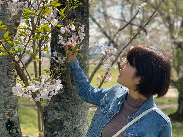 はんぶんの画像