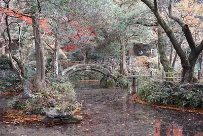 鳴谷山聖宝寺の紅葉（2）