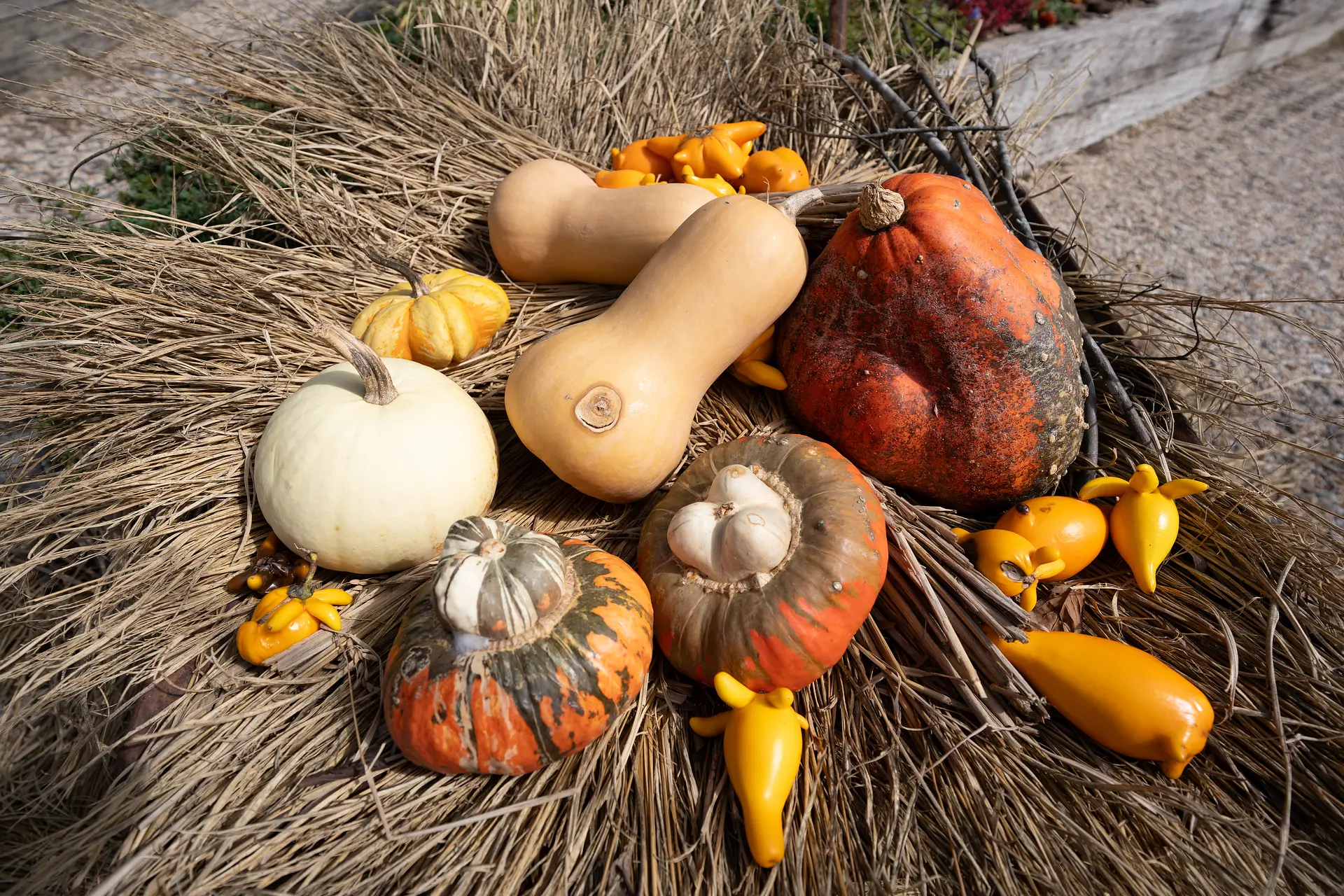 ハロウィン装飾