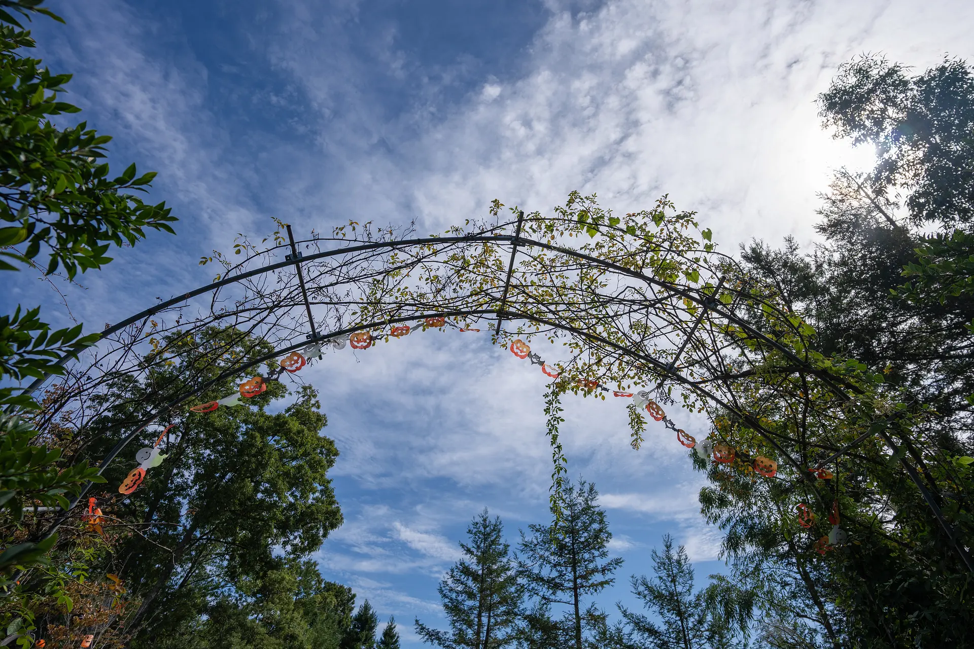 ハロウィン装飾