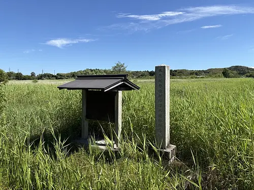 御池沼沢植物群落【国指定天然記念物】
