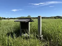 御池沼沢植物群落【国指定天然記念物】