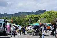 フェスタイベント過去の様子