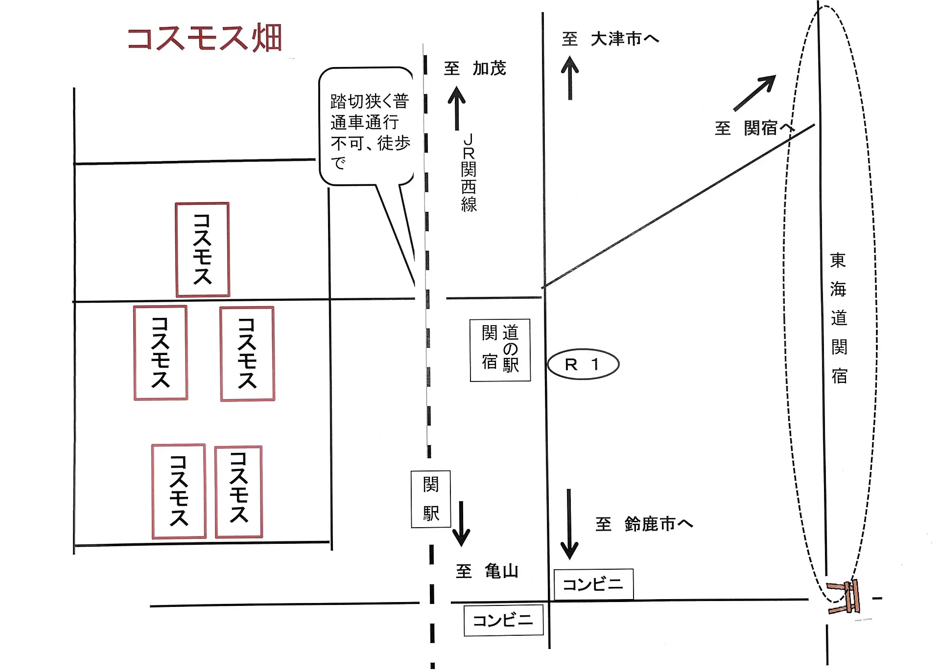 コスモス畑周辺地図
