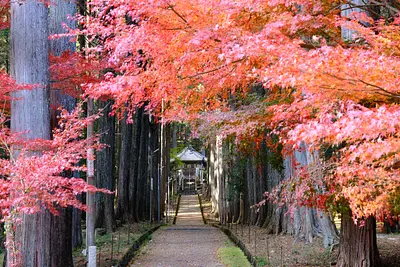 尾高観音の紅葉（2）
