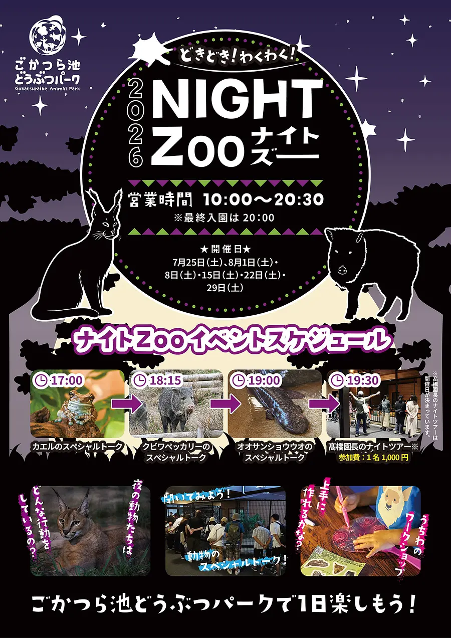 ナイトZoo