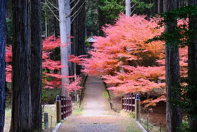 尾高観音の紅葉（4）