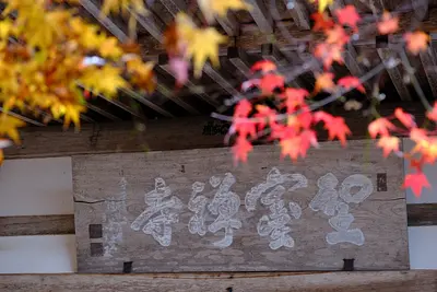 鳴谷山聖宝寺の紅葉（7）