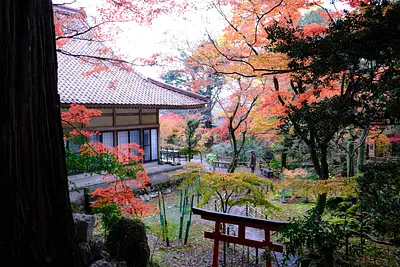 鳴谷山聖宝寺の紅葉（8）