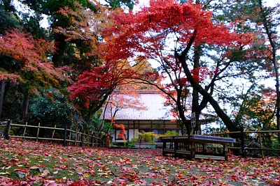 鳴谷山聖宝寺の紅葉（9）