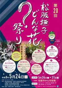 第20回  松阪撫子どんな花？祭り
