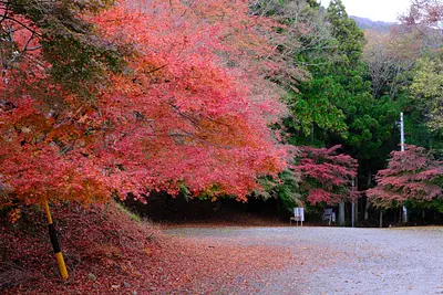鳴谷山聖宝寺の紅葉（11）