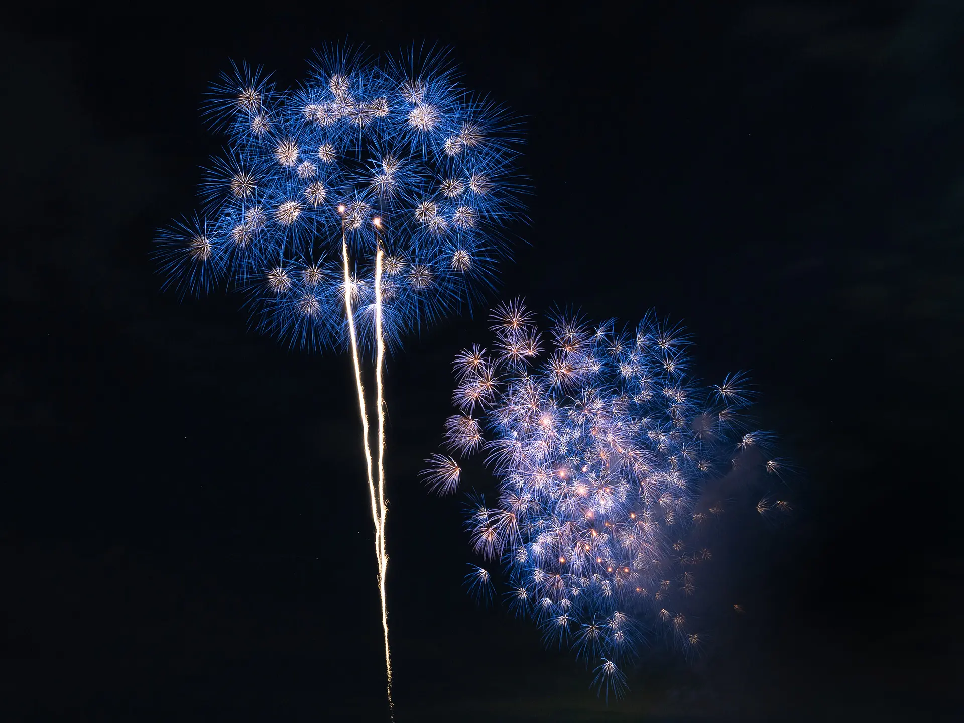 蒼い花火_2022年