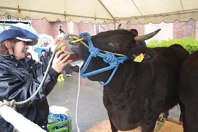 松阪牛、玉城豚、ゴールドキウイ…自然と歴史に満ちた玉城町のふるさと納税に注目！